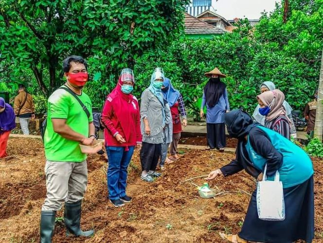 
					Cegah Klaster Libur Panjang: Sudin KKP Jaksel Gelar Pelatihan Gemar Cocok Tanam