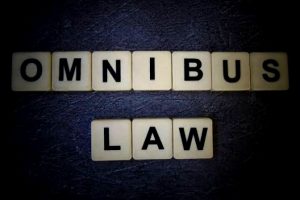 Pengesahan Omnibus Law Jelang Pilkada