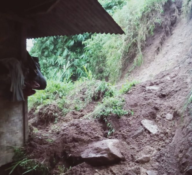 
					Diguyur Hujan Tiga Jam, Empat Rumah Warga Kp Urug Selaawi Talegong Garut Tertimbun Longsor