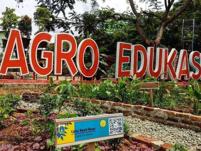 
					Tanaman Agro Edukasi Wisata Ragunan Dipasangi Kode Informasi