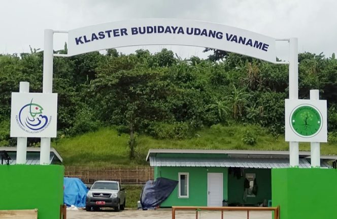 
					Tambak Udang Vaname Ciwidig Cianjur Sudah Beroprasi