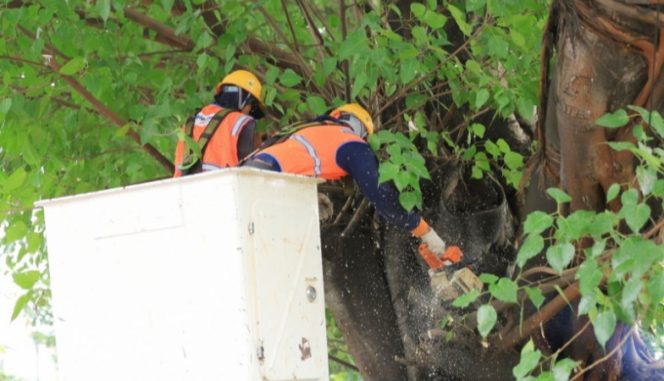
					Gerebeg Penyulang, PLN Unit Induk Distribusi Jatim Terjunkan 316 Personel di 16 UP3