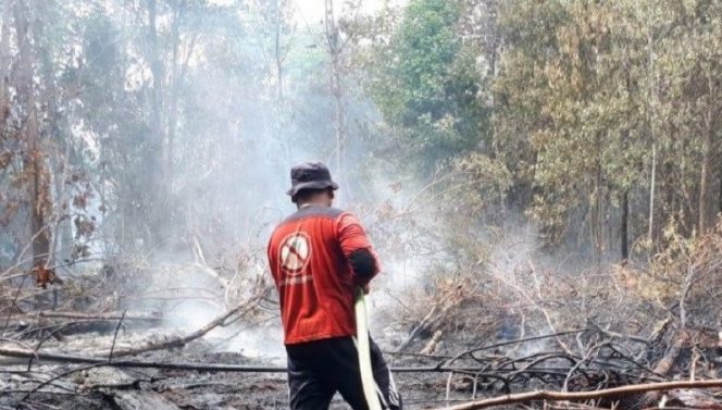 
					Ada 28 Titik Api, Lahan Terbakar di Kab Siak Mencapai 79 Hektare