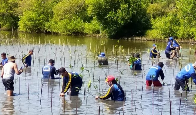 
					Nilai Ekonomisnya Tinggi: Mangrove Dapat Kurangi Ketinggian Tsunami Hingga 50 Persen