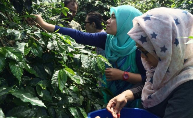 
					Pj Bupati Bandung,Wisata Kp Kopi Malabar Pangalengan Akan Dikembangkan