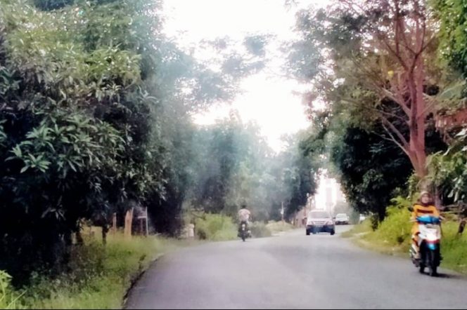 
					Anggaran Preservasi Jalan Tanjung bumi – Pamekasan – Sumenep Madura Rp 26, 6 Millar