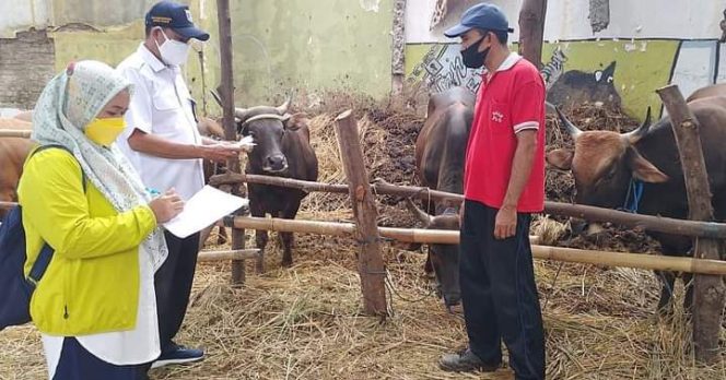 
					Jelang Idul Adha, Sudin KPKP Jaksel Cek Kesehatan 9.910 Hewan Qurban