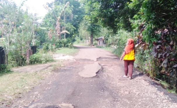 Dikeluhkan Warga, Jalan Desa Wanawali Purwakarta Rusak Berat