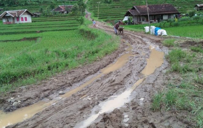 
					Bupati Cianjur, Inilah Kondisi Jalan Londok Desa Mekarjaya Cidaun