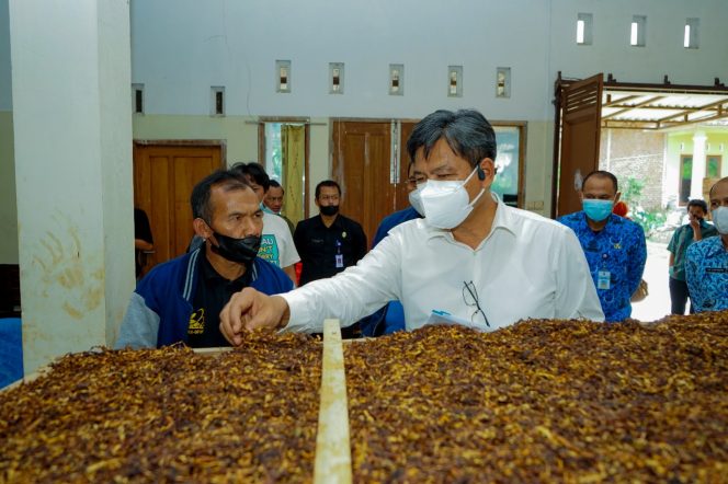 
					Kemenperin Dorong Penyerapan Tembakau Lokal