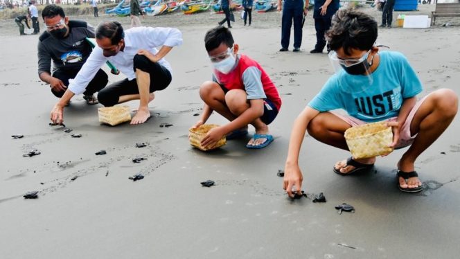 
					Jaga Ekosistem, Presiden Jokowi Lepas 1.500 Tukik