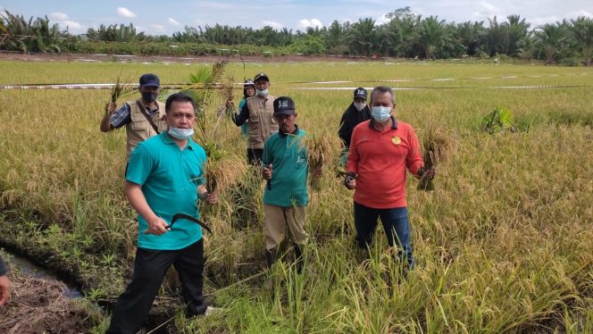 
					SDM Petani Kalbar Meningkat, Mentan SYL: Sekolah Lapang Punya Peran Strategis