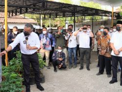 Wakil Ketua DPRD Jatim, Apresiasi OJK dan BNI 46 Kucurkan KUR Bagi Petani Porang di Mojokerto