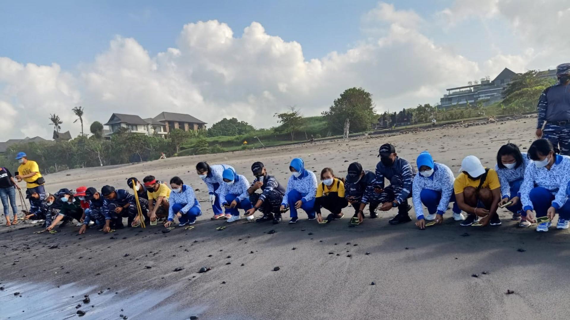 Peduli Lingkungan, TNI AL Denpasar Bersih-bersih Pantai Yeh Gangga Hingga Lepas Tukik