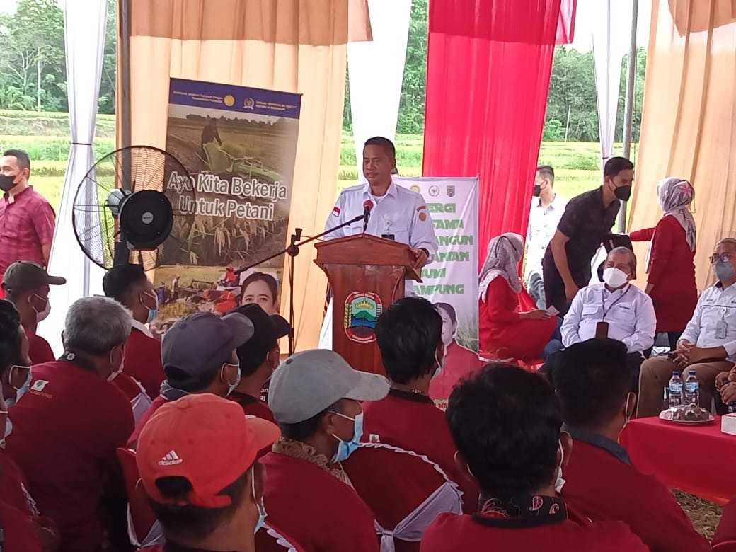 Perkuat Posisi Lampung di Lima Besar Produsen Padi, Balitbangtan Dongrak Produktivitas via Perbenihan VUB