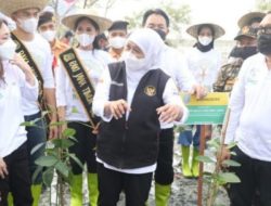 Gubernur Jawa Timur Khofifah Indar Parawansa saat mencanangkan gerakan restorasi mangrove di Wana Wisata Pantai Sowan di Desa Bogorejo, Kec. Bancar, Kab. Tuban dan Banyuurip Mangrove Center di Desa Banyuurip, Kec. Ujungpangkah, Kab. Gresik, Kamis (28/10/2021).