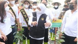Gubernur Jawa Timur Khofifah Indar Parawansa saat mencanangkan gerakan restorasi mangrove di Wana Wisata Pantai Sowan di Desa Bogorejo, Kec. Bancar, Kab. Tuban dan Banyuurip Mangrove Center di Desa Banyuurip, Kec. Ujungpangkah, Kab. Gresik, Kamis (28/10/2021).