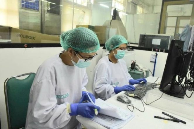 
					Ilustrasi penelitian di Lembaga Biologi Molekular Eijkman. (Dok. Lembaga Eijkman)