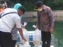 Anggota Komisi B DPRD Jatim, Subianto saat menaburkan 50 ribu Bibit Ikan ke tempat Destinasi Wisata Bendungan Canggu Kediri.