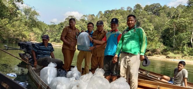 
					Nelzuhdi, SP Kabid Sumberdaya Perikanan Tebar 100.000 Bibit Ikan Di Sungai Sebayang
