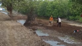 Tanggul yang diklaim masuk lahan garapan oleh pengusaha tambak. (Yusup)