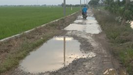 Jalan Poros Desa Cikande Kecamatan Cilebar Kabupaten Karawang.