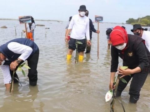 Gubernur Khofifah: Semua Pihak Berkontribusi Tebar Benih Ikan, Tanam Mangrove dan Beach Clean Up di Pantai Pengkolan Lamongan