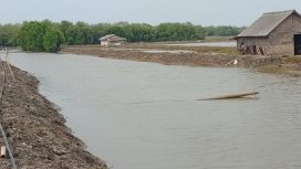 Tiang listrik yang tumbang dengan kabel menjulur diatas tanggul akses jalan.