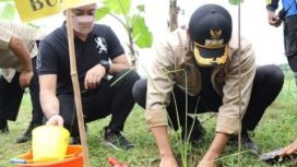 Bupati Tuban Aditya Halindra Faridzky, meresmikan pembentukan Taman Siaga Bencana (TSB) dan melaksanakan penanaman rumput vertifier di Desa Cengkong, Kecamatan Parengan, Selasa (21/12/21).