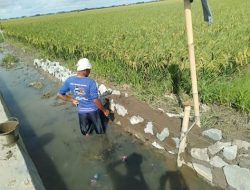 Dilokasi Pekerjaan saat ini pertanggal 26/12-2021 pekerjaan program PISEW TA 2021 Belum Selesai Dikerjakan.
