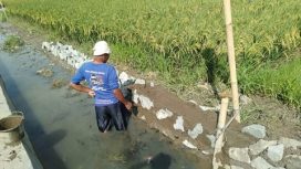 Dilokasi Pekerjaan saat ini pertanggal 26/12-2021 pekerjaan program PISEW TA 2021 Belum Selesai Dikerjakan.