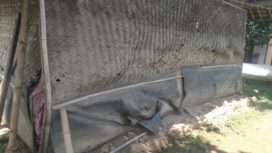 Bangunan Rumah Ermawati Tampak Belakang