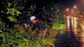 Petugas UPT PJJ Mojokerto melakukan penanganan pohon tumbang di ruas Jalan Pulorejo - bts Kab. Kediri (Pare) link. 170 km. 17+300 - 19+400, di Desa Sumberejo, Jombok Kabupaten Jombang.