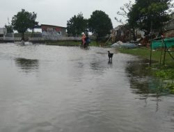 Pemukiman masyarakat Cikiong warga Dusun Karangmulya Desa Segarjaya Kecamatan Batujaya Karawang Dan Tambak Yang Terendam Air Akibat Banjir Pasang Surut Air Laut (ROB)