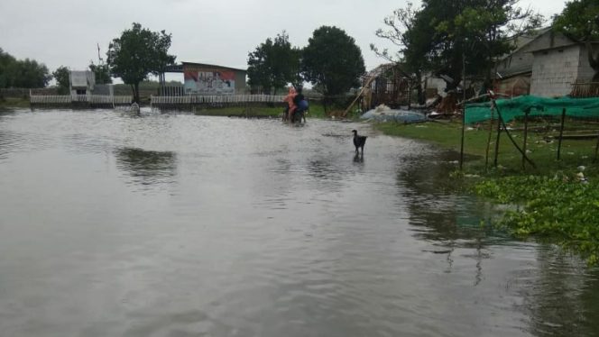 
					Pemukiman masyarakat Cikiong warga Dusun Karangmulya Desa Segarjaya Kecamatan Batujaya Karawang Dan Tambak Yang Terendam Air Akibat Banjir Pasang Surut Air Laut (ROB)