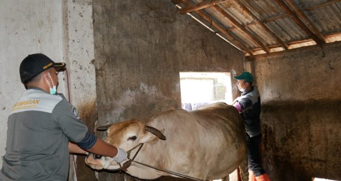 
					Program Sikomandan Pemkab Lumajang Dilaksanakan Secara Door to Door