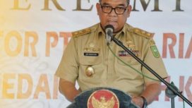 Wakil Gubernur Riau, Edy Natar Nasution