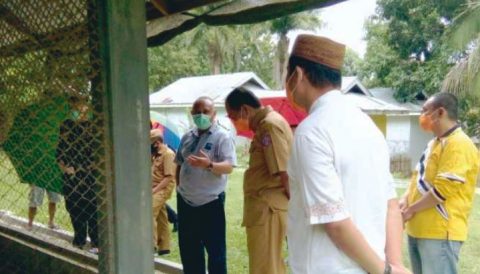 Produksi Balai Penelitian Ternak Gorontalo Lampaui Target