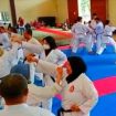 Majelis Sabuk Hitam (MSH) Lemkari Pengprov Jawa Timur, saat latihan bersama di SMA Negeri Olahraga Sidoarjo Jawa Timur, Minggu (13/2/2022).