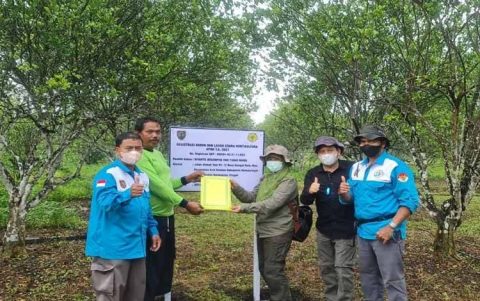 Pemprov Kalteng Galakan Pengembangan Kampung Hortikultura