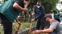 Gus Bupati Muhdlor saat bersih - bersih bersama warga didampingi Kepala DLHK kabupaten Sidoarjo, Dr.Bahrul Amig dan Kakel Lemahpuro H.Achmaf Hariadi, Sabtu (12/3/2022).