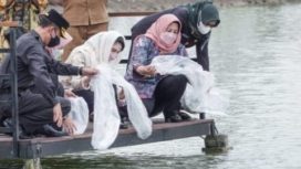 Ketua Forum Peningkatan Konsumsi Ikan (Forikan) Provinsi Jawa Timur Arumi Bachsin Emil Dardak  menebar 25.000 ekor benih ikan di Bojonegoro.Selasa (15/3/2022).