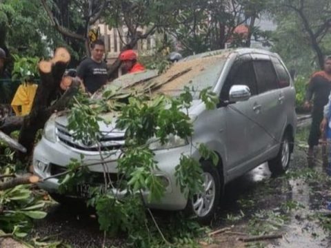 Hujan Deras dan Angin Kencang Mengakibatkan Pohon Tumbang Menimpa Mobil, Dua Orang Dilarikan ke Rumah
