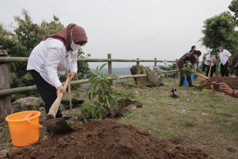 Peringati Hari Air Sedunia, Bupati Sleman Bersama Kejati DIY Tanam 5.000 Bibit Pohon