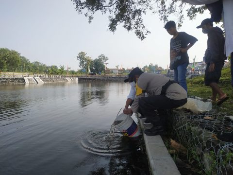DPPP Sleman Tebar Benih Ikan Endemik di Embung Sendangtirto