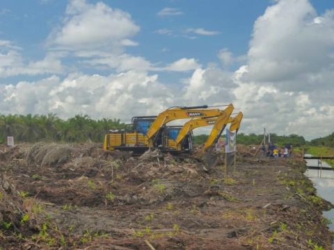 Riau Serap Rp850 Miliar Dana BPDPKS untuk Replanting Sawit Masyarakat