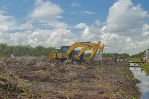 Riau Serap Rp850 Miliar Dana BPDPKS untuk Replanting Sawit Masyarakat