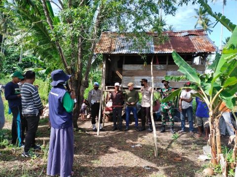 Satgas Yonarhanud 11/WBY Bersama Masyarakat Desa Biloro Gelar Panen Raya