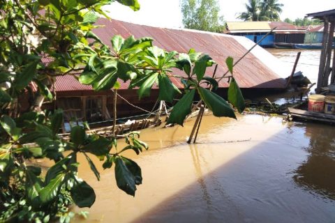 BPBD Kalsel Tindaklanjuti Rumah Roboh Akibat Banjir Rob di Kabupaten Banjar