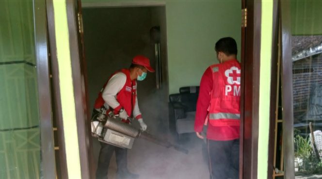 
					Meriahkan HUT RI ke-77, Tim kesehatan PMR Bersama SMAN 1 Ambulu Berkaloborasi